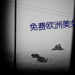 免費歐洲美女與動zooz