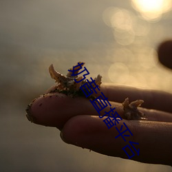 奶(nǎi)昔直播平台