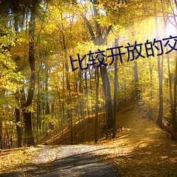 比较(較)开放的(的)交(交)友app