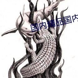 国内精品国内自产视频