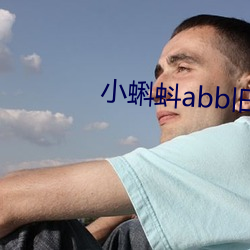 小蝌蚪abb旧版安装包