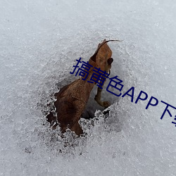 搞黄色APP下载 （同样）
