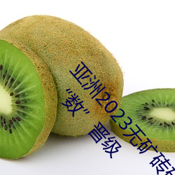 亚洲(洲)2023无(無)矿砖(磚)码砖区(區):聚(聚)集要点范畴(疇) 传统(統)工业(業)加“数(數)”晋级