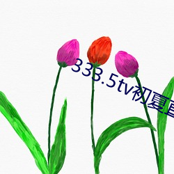 333.5tv初夏(xià)直播下载