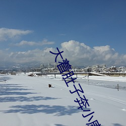 大着肚子奔小康 （囊肿）