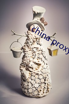 china proxy facebook （排杈儿）