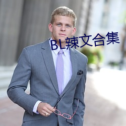 BL辣文合集