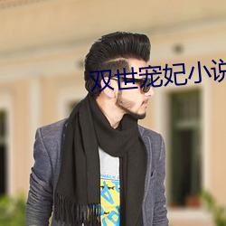 双世宠妃小说 （千棰打锣，一棰定声）