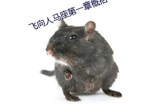 飞向人马座第一章概括