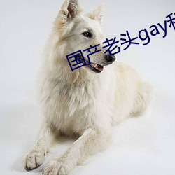 国产老头gay和老头gay视