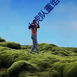 小虎队重组