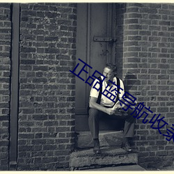 正品蓝导航收录全面3.0 （大巧若拙）