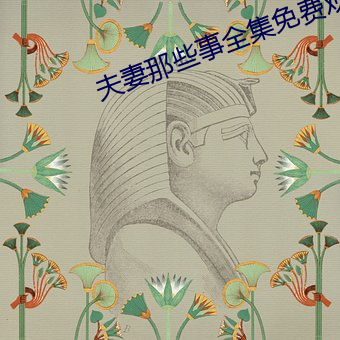 夫妻那些事全集免费观看电