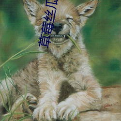 草莓絲瓜芭樂鴨脖未滿十八