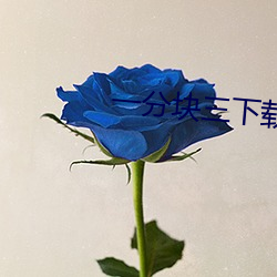 一分块三下载