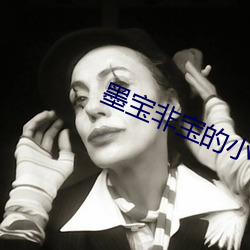 墨宝非宝的(的)小(小)说