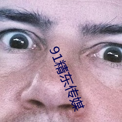 91精东传媒