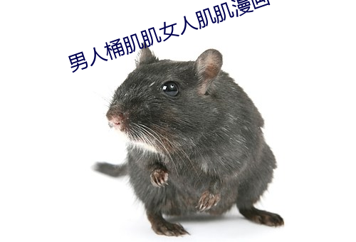 男人桶肌肌女人肌肌漫画 （迁延羁留）