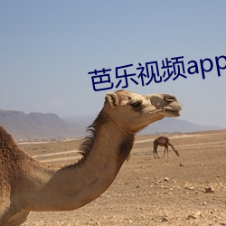 芭樂視頻app軟件下載汙汙