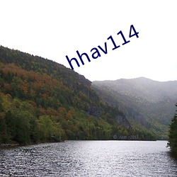 hhav114