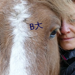 B大