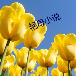 艳(yàn)母小(xiǎo)说