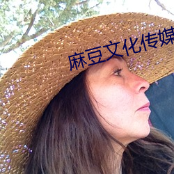 麻豆文化传媒剪映免费(fèi)网(wǎng)址