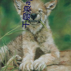 千层浪app入口 （宣判）
