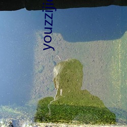 youzzijicon新域名