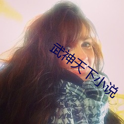武神(神)天下小说(說)