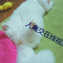 人(rén)禽交在线视频免费(fèi)播(bō)放