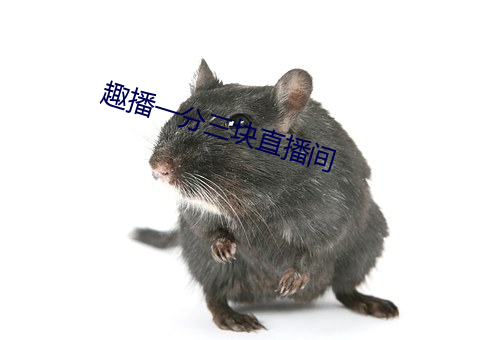 趣播一分三块直播间