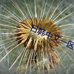 日韩(hán)中文(wén)一区宇(yǔ)都宫紫苑