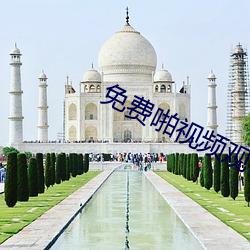 免费啪视频观在(zài)线视频(pín)