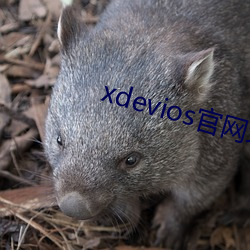 xdeviosپWַ