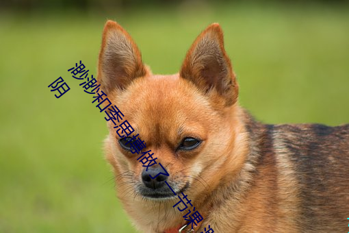 渺渺和季思博做了一节课 渺渺当着全班人在体育课上光阴