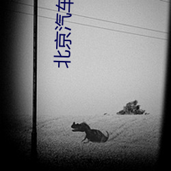 北(běi)京汽车影院