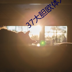 37大(d)胆欧体人文艺术(sh)