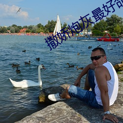 撒(sā)娇炮灰(huī)最好命