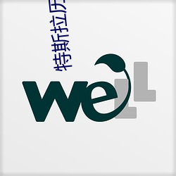 特(tè)斯拉(lā)历史最低股(gǔ)价是多少