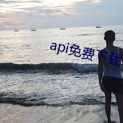 api免费(fèi)下载