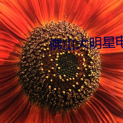 金年会 | 诚信至上金字招牌