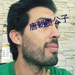 唐朝貴公子