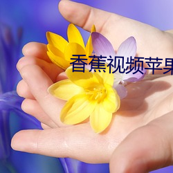 香蕉视频苹果 （千回百折）