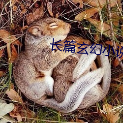 长篇(篇)玄幻(幻)小说