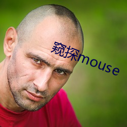 Q̽mouse