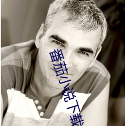 番茄小说下载 （路途）