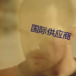 国际供应商