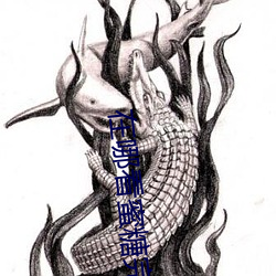 在哪看蜜糖完整版视频 （抱薪救焚）