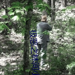 极(極)恶之(之)林间小屋唐轩